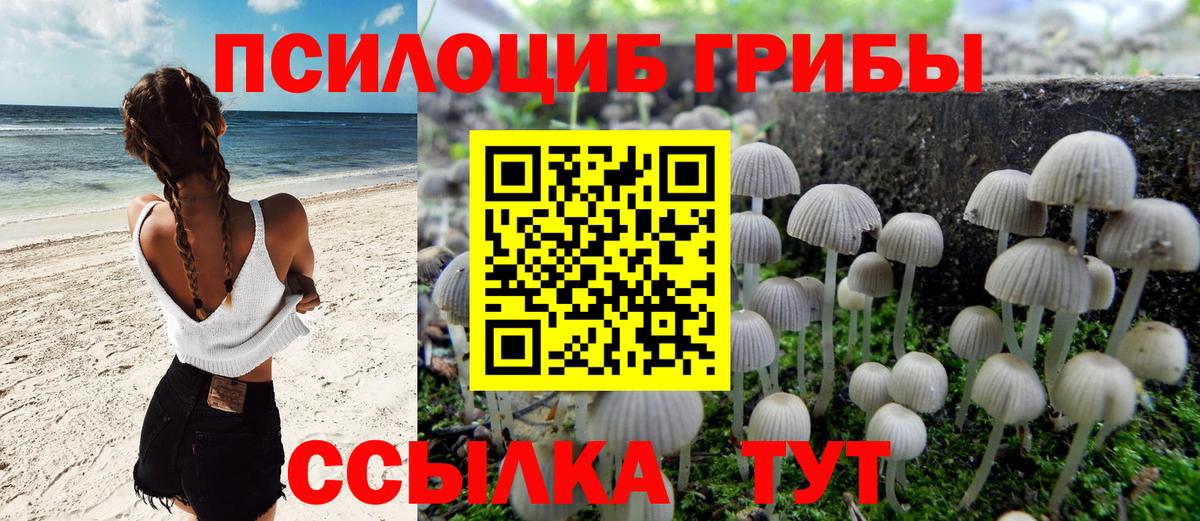 Галлюциногенные грибы Psilocybe Татарск
