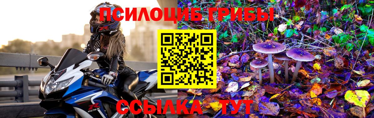 Татарск  Псилоцибиновые грибы Psilocybine cubensis  Вход с VPN  Псилоцибиновые грибы GOLDEN TEACHER 